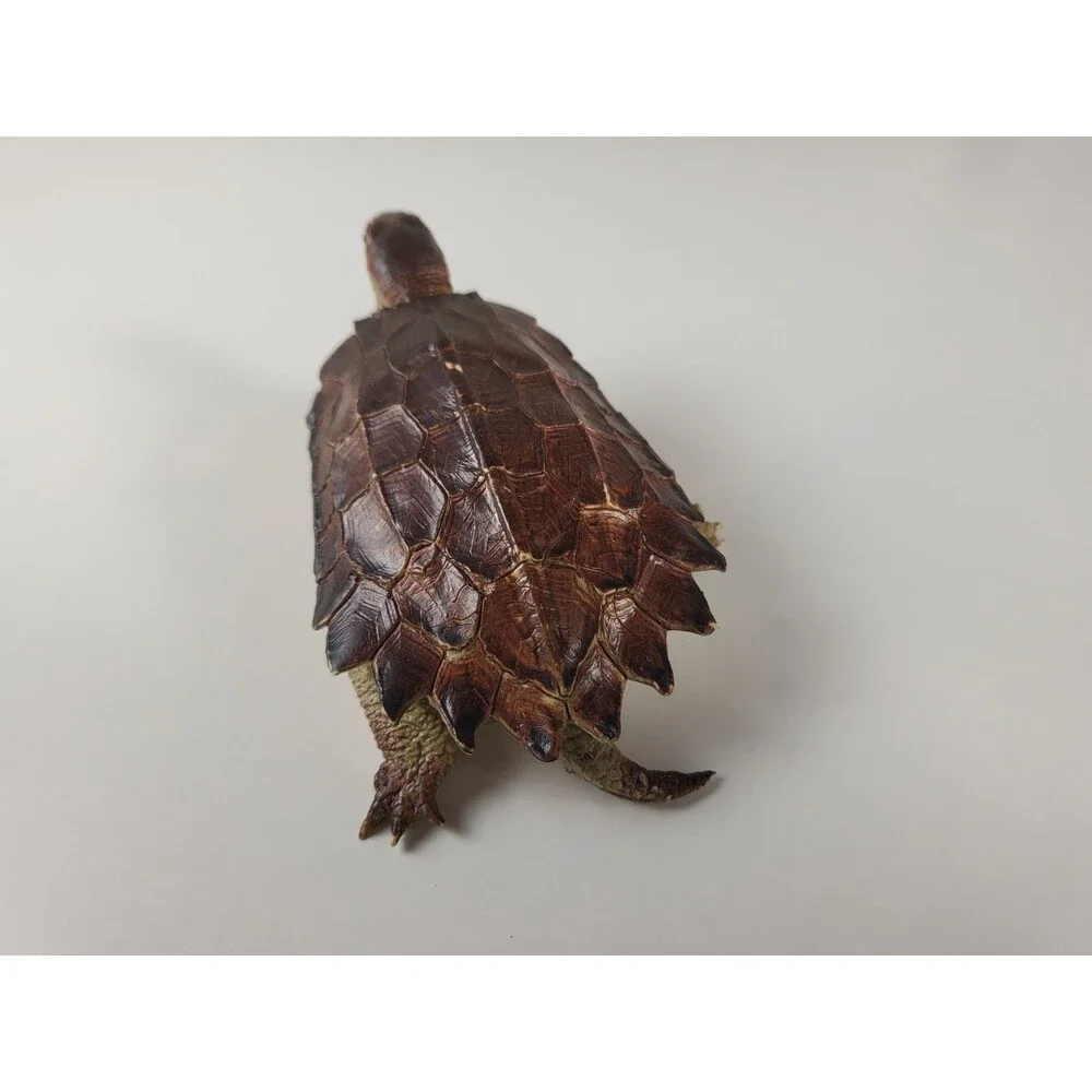 AAA Notched Rubber Tortoise Turtle Figure Realistic Discontinued Brown 4.75” L